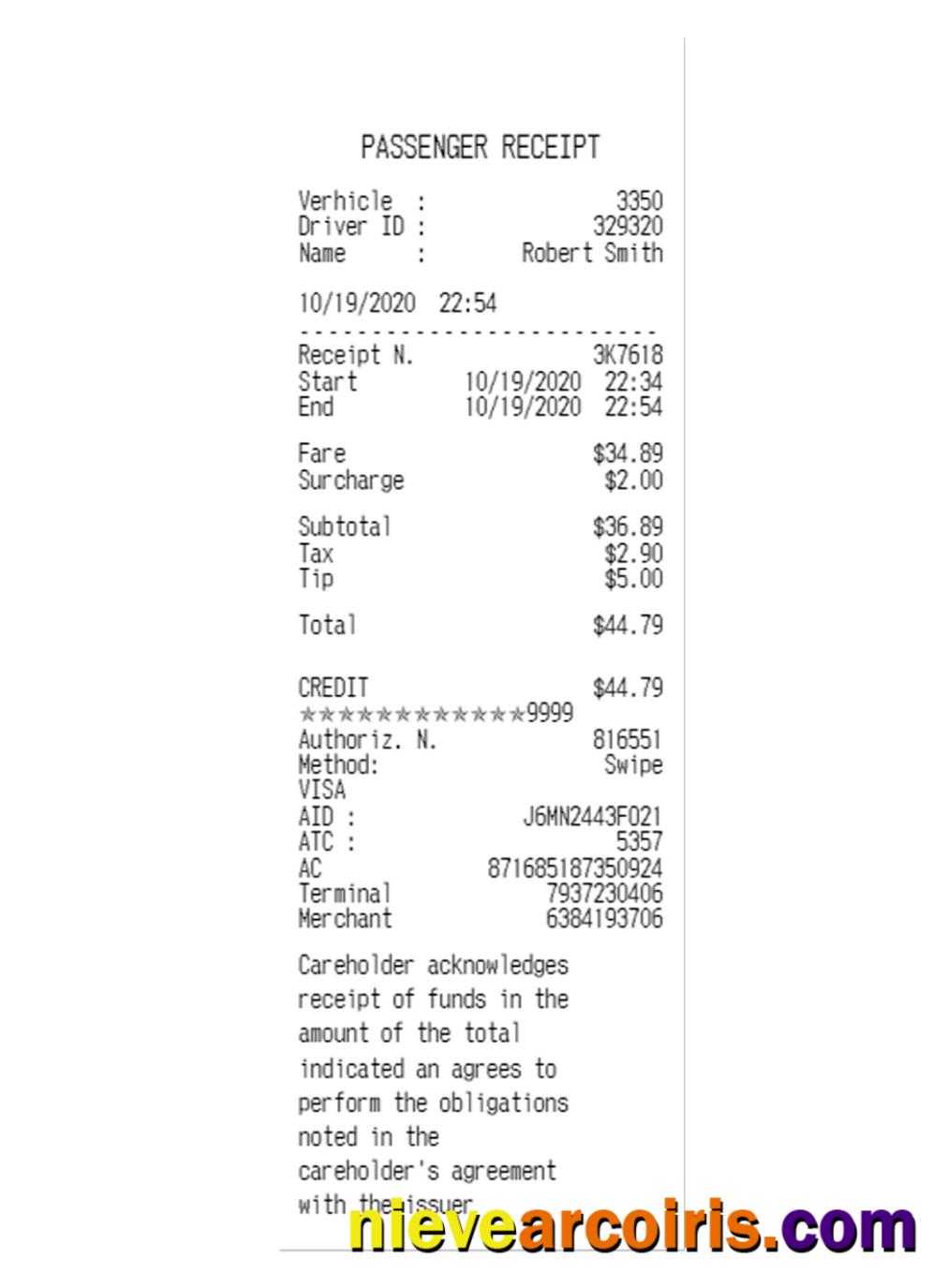 PASSENGER receipt